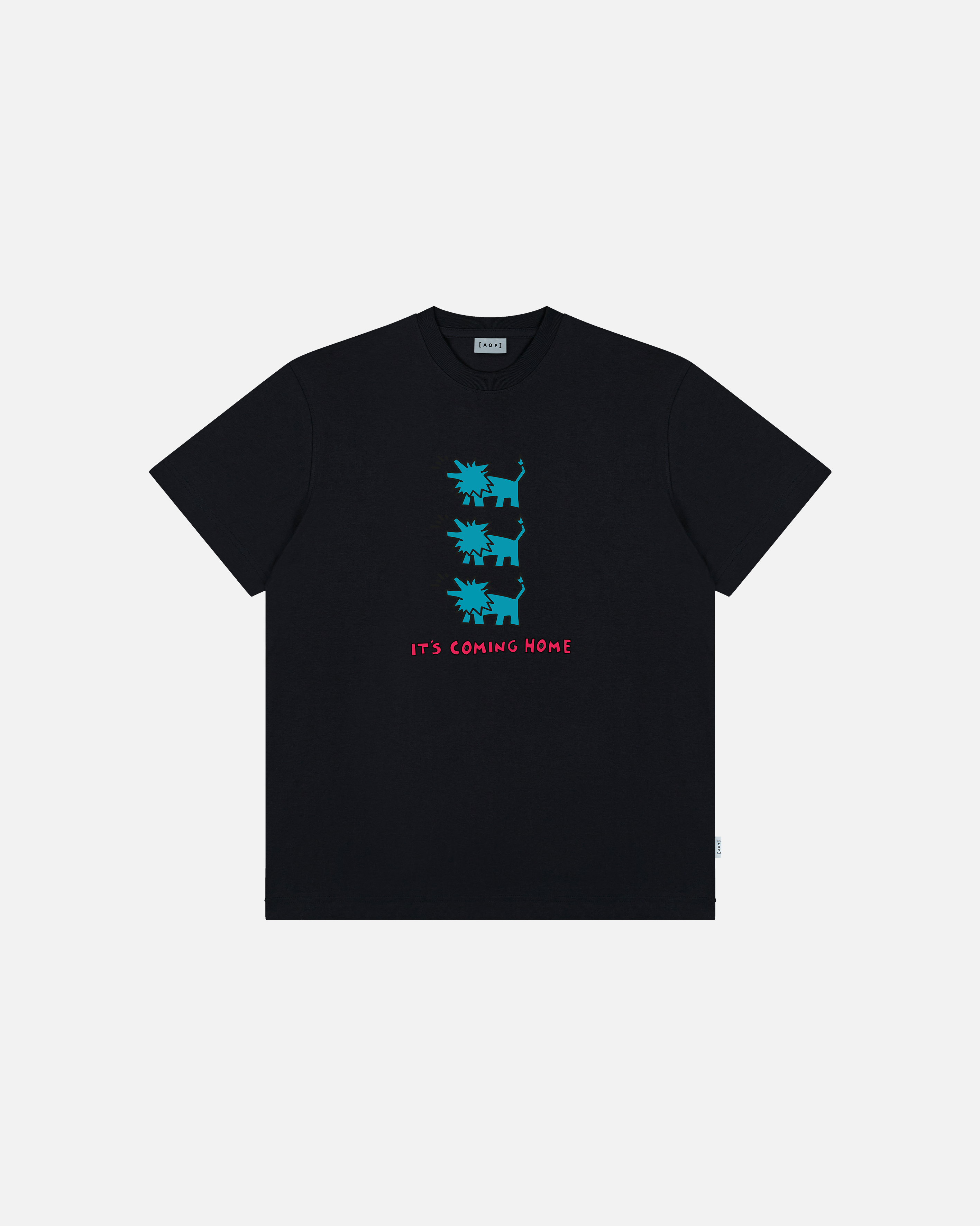 It's Coming Home - Tee